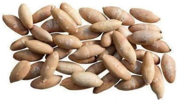 Nueces de baru tostadas